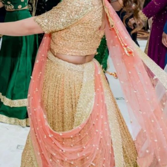Bridal Lehenga, Party Wear, Punjabi Lehenga - Picture 2 of 3